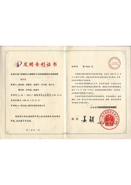 Patent For Invention