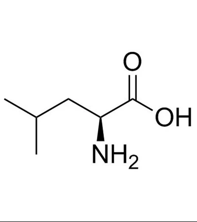 Hydrophobic Amino Acid L-LEUCINE 61-90-5